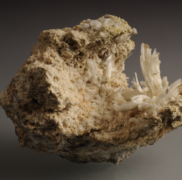 007 Gypsum flower – Coll Coen – Cristals Group 8×5 cm