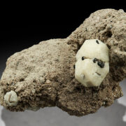 Leucite and Augite